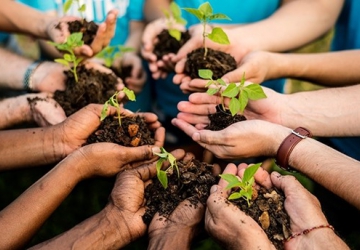 Noticia Semana do Meio Ambiente: cultivando um futuro sustentável com ações conscientes  da netbasic uberaba mg