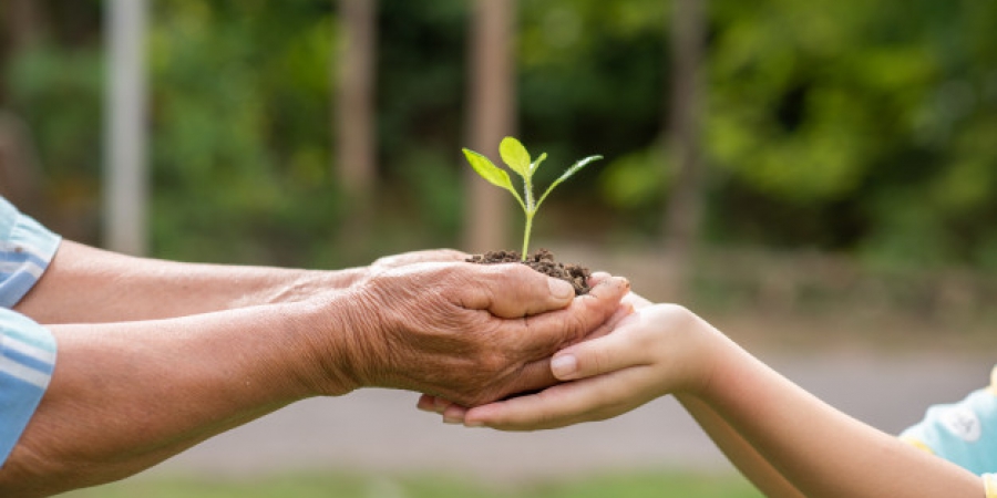 Gestão Ambiental - uberaba, mg, consultoria,ambiental, gestão integrada, certificações