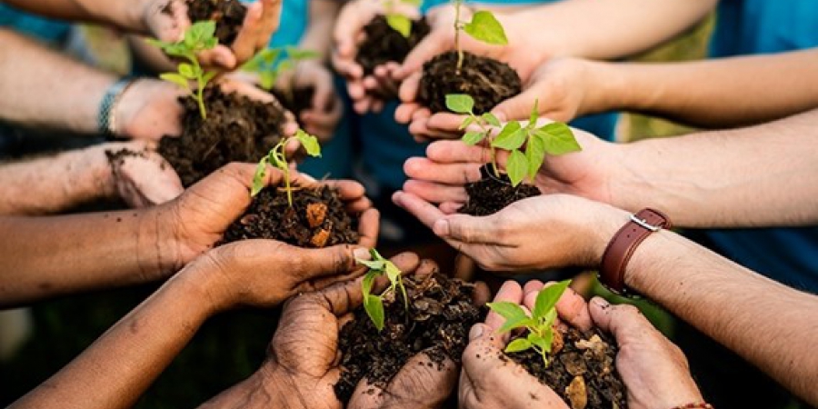 noticia Semana do Meio Ambiente: cultivando um futuro sustentável com ações conscientes Noticia Semana do Meio Ambiente: cultivando um futuro sustentável com ações conscientes da netbasic uberaba mg